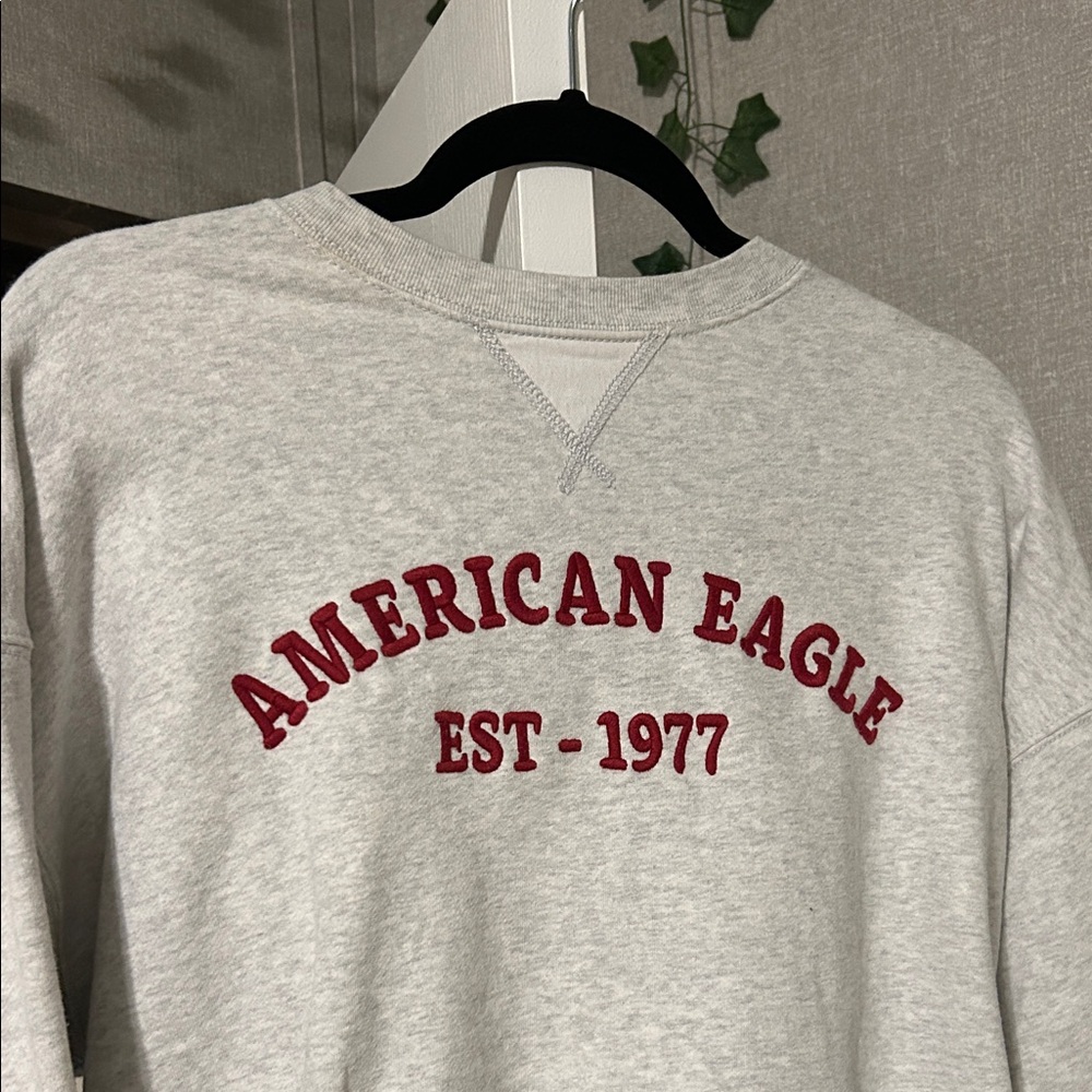 American Eagle Outfitters Light Gray Crewneck Sweater